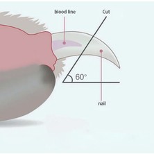 Hanyang Beyaz Pet Malzemeleri Paslanmaz Çelik Köpek Bakım Köpek Tırnak Makası Kedi Makas Kediler Için Temizleme Giyotin Clipper Hayvanlar Için (Yurt Dışından)