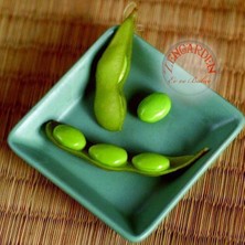 Zengarden Edamame Fasulye Tohumu Besweet