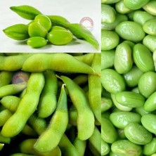 Zengarden Edamame Fasulye Tohumu Besweet