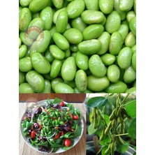 Zengarden Edamame Fasulye Tohumu Besweet