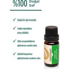 Therapium Naturalis Aromaterapi Nane Uçucu Yağı - Mentha Piperita - 10 ml Aroma Terapi