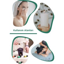 Therapium Naturalis Aromaterapi Nane Uçucu Yağı - Mentha Piperita - 10 ml Aroma Terapi