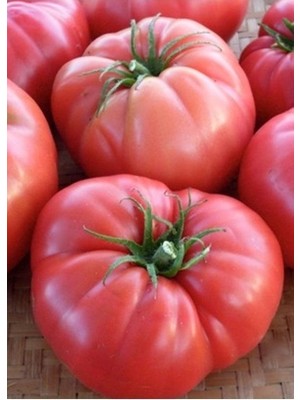 Köy Tohumları 100 Adet Tohum Erkenci Iri Domates Tohumu Sürpriz Hediye Tohumludur