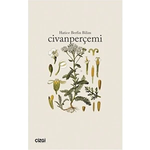 Civanperçemi - Hatice Berfin Bilim