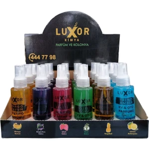 Luxor Kimya 24 Adet 100 ml Ev & Oto Koku Seti Özel Kutulu