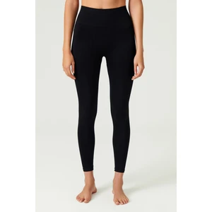 Los Ojos x Melodi Siyah Yüksek Bel Seamless Tayt High Waist