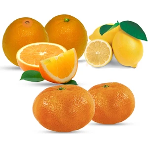 Köyceğiz Karışık Limon-Mandalina-Portakal