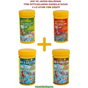 Canlı Petshop Koi ve Japon Balığı Için Özel Yem Seti 4 Kutu (Ahm Pond Sticks 250 Ml)