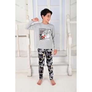 Erkek Çocuk Uzun Kollu Pijama Takımı Colarado Gri