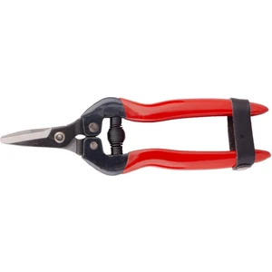 SP16C Meyve Toplama Makası Kısa Eğri