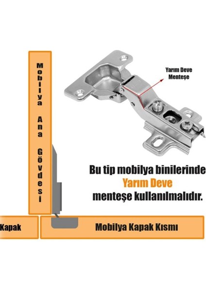 ŞENEL Yapı Market Standart Yarım Deve Menteşe Dolap Kapak Menteşesi Taban Dahil