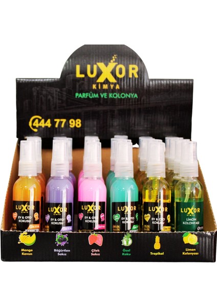 24 Adet 50 ml Ev & Oto Koku Seti Özel Kutulu