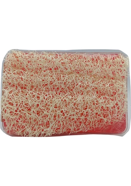 Organik Teyze Kabak Lifli Nar Çekirdeği Sabunu 100g. fiyatları