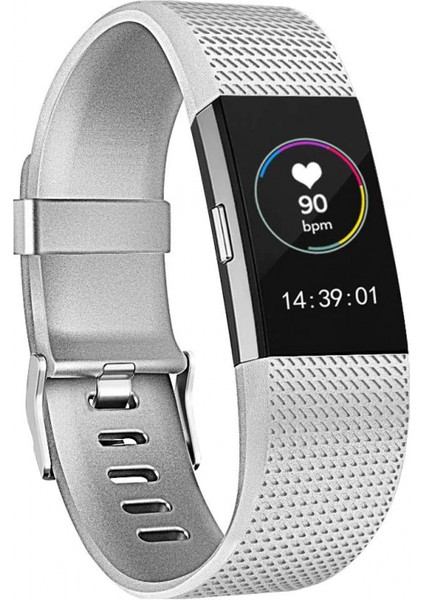 Akıllı Saat, Fitbit Charge 2 ile Uyumlu Bileklik Değiştirme Kayışı, Klasik ve Özel Ayarlanabilir Spor Bileklikler(Metal-Gümüş-L) (Yurt Dışından)