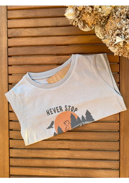 Babyaden Desenli Pamuklu Mevsimlik Erkek Çocuk Üst fiyatları