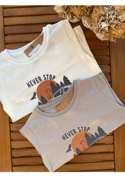 Babyaden Desenli Pamuklu Mevsimlik Erkek Çocuk Üst fırsatları