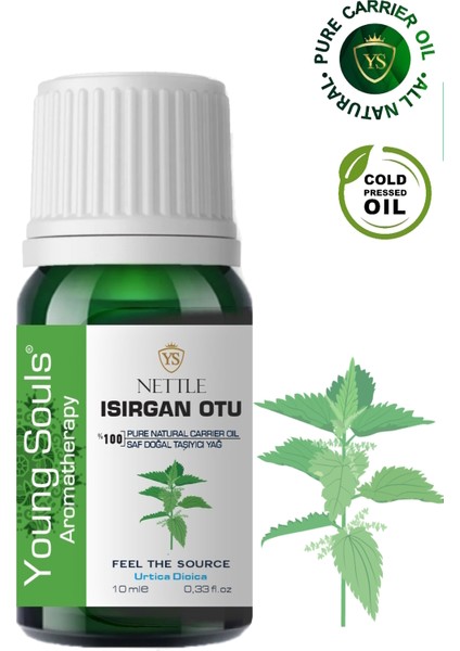 Aromatherapy Nettle Carrier Oil Isırgan Otu Bitkisel Taşıyıcı Yağ 10 ml