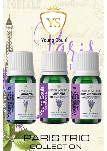 Aromatherapy Paris Trio Lavanta Set
