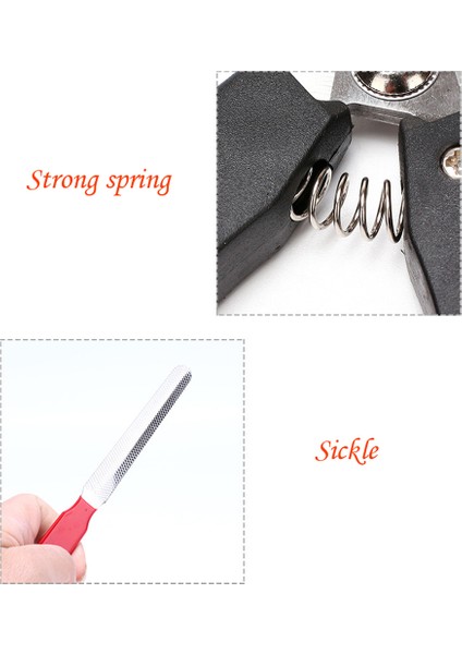 Evcil Hayvan Tırnak Bakım Aleti (Yurt Dışından) fırsatları