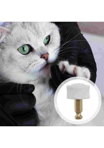 Evcil Hayvan Tırnak Bakım Aleti (Yurt Dışından) fırsatları