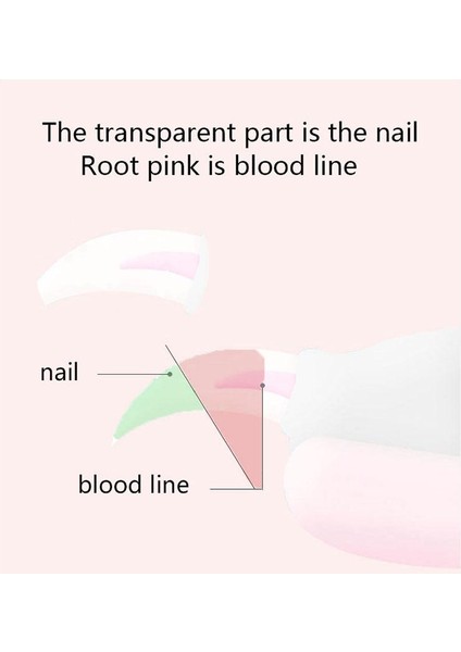 Evcil Hayvan Tırnak Bakım Aleti (Yurt Dışından) modelleri