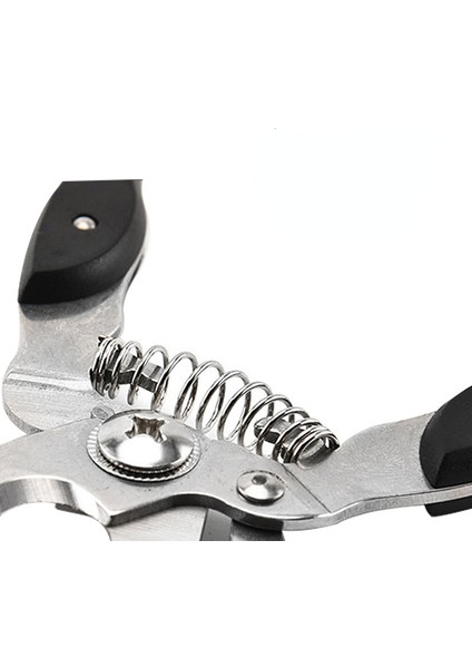 Evcil Hayvan Tırnak Bakım Aleti (Yurt Dışından) indirimleri