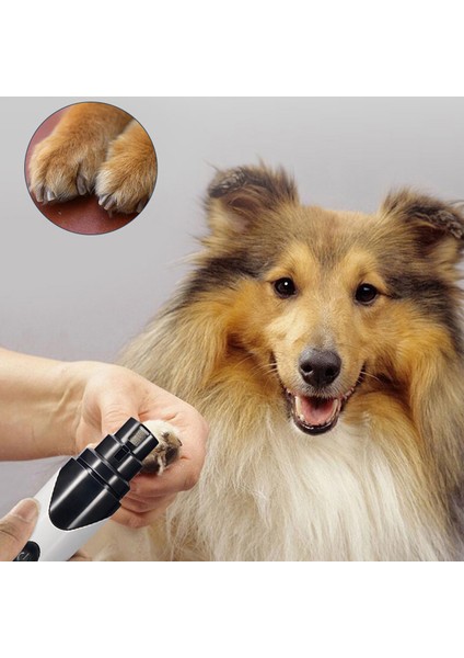 Evcil Hayvan Tırnak Bakım Aleti (Yurt Dışından) fiyatları