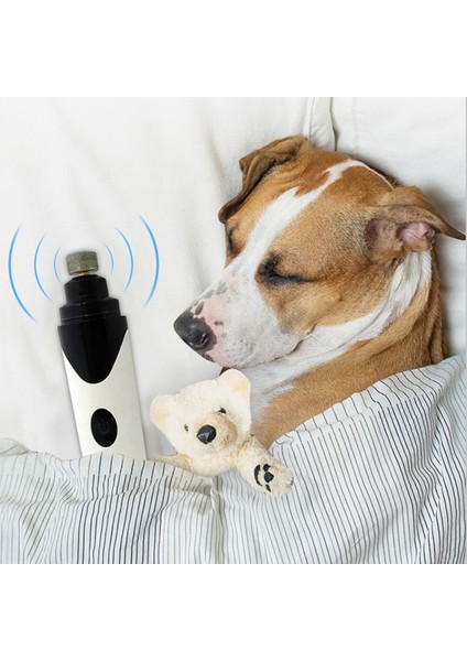 Evcil Hayvan Tırnak Bakım Aleti (Yurt Dışından) modelleri