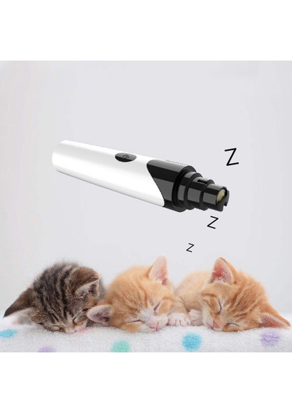 Evcil Hayvan Tırnak Bakım Aleti (Yurt Dışından) fırsatları