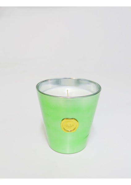 Özel Kutulu Parlak Açık Yeşil Cam Apple&cinnamon Kokulu Vegan Mum modelleri