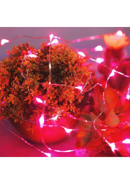 LED Peri Işıkları Pille Çalışan, 4 Paket Mini Pille Çalışan Bakır Tel Yıldızlı Peri Işıkları Yatak Odası, Noel, Partiler, Düğün, Merkez, Dekorasyon (5M/16FT Kırmızı) (Yurt Dışından) fırsatları