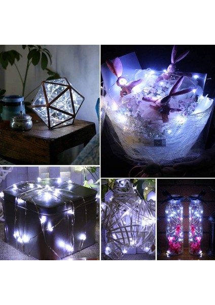 20 LED 6.5 Ft Peri Dize Işık Hücresi Pille Çalışan, Su Geçirmez Gümüş Tel Ateşböceği Işıkları Kapalı Noel Partisi Masa Dekorasyonu Için Yıldızlı Mini Işıklar (12 Paket, B (Yurt Dışından) fırsatları