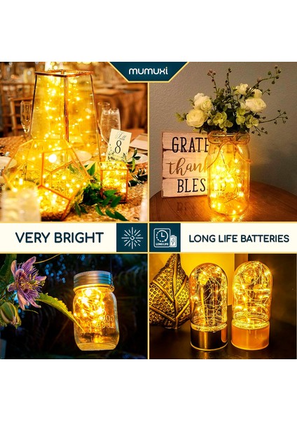 LED Peri Işıkları Pille Çalışan Dize Işıklar [20 Paket], 3.3ft 20 Mini Peri Işıkları Pille Çalışan Nişan Partisi Düğün Süslemeleri El Sanatları Mason Kavanoz Işıkları Ate (Yurt Dışından) fiyatları