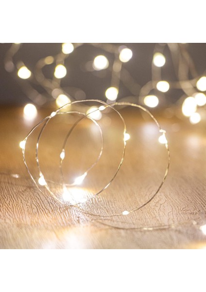 LED Peri Işıkları Su Geçirmez 16.4ft Dizili Işıklar Pille Çalışan Düğün, Ev, Bahçe, Parti, Noel Dekorasyonu (1 Adet, Sıcak Beyaz 1 Adet) (Yurt Dışından)