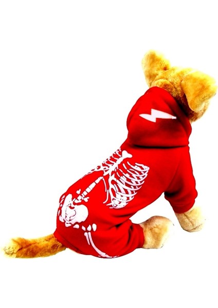 Cadılar Bayramı İskeleti Teddy Corgi Aydınlık İskelet Sonbahar ve Kış Evcil Hayvan Giysileri (Yurt Dışından)
