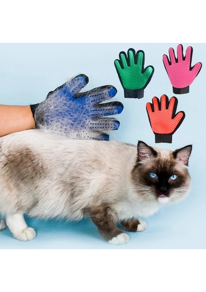 Gül Sol Resim Olarak Pet Kedi Bakım Malzemeleri Kauçuk Saç Çıkarma Eldiveni Kediler Için Yavru Fırçalar Bakım Eldiveni Katzen Zubehör (Yurt Dışından) fiyatları