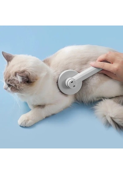 Yeşil Kedi Bakım Fırçası Kendi Kendini Temizleyen Slicker Pet Tarak Köpek Yavrusu Tavşan Karışık Saç Masaj Aksesuarları Kaldırır (Yurt Dışından) fiyatları