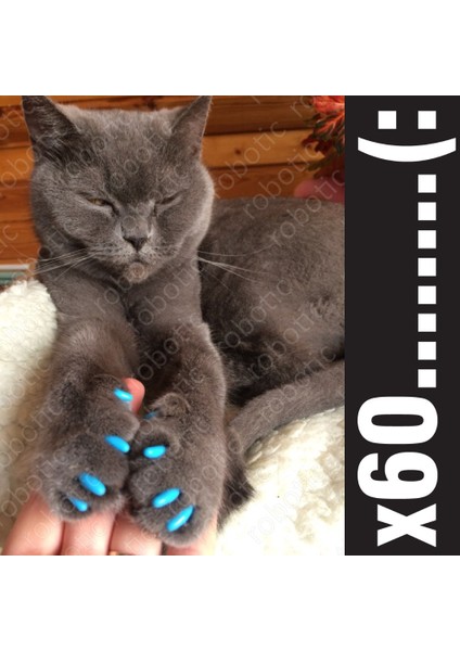Kahve Kahverengi Xs 60 Adet - Kediler Için Yumuşak Tırnak Başlıkları + 3x Yapışkan Tutkal + 3x Aplikatör /* Xs, S, M, L, Cover, Cat, Zpo */ (Yurt Dışından) fiyatları