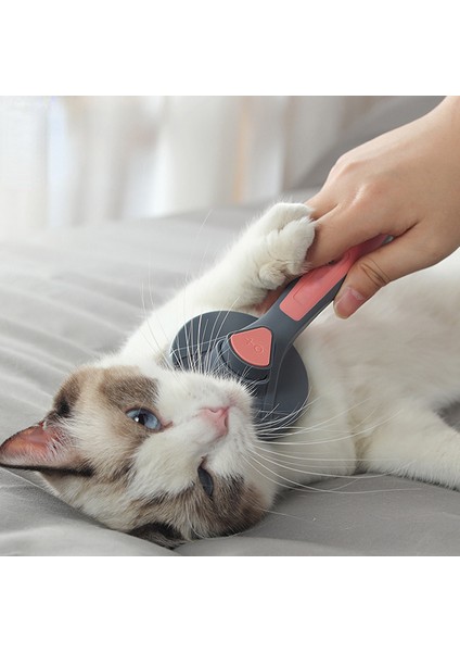 Gri Pet Kedi Tarak Köpek Saç Çıkarıcı Fırça Pet Bakım Iğnesi Tarak Kedi Saç Karışık Temizlik Güzellik Malzemeleri Aksesuarları (Yurt Dışından) fırsatları