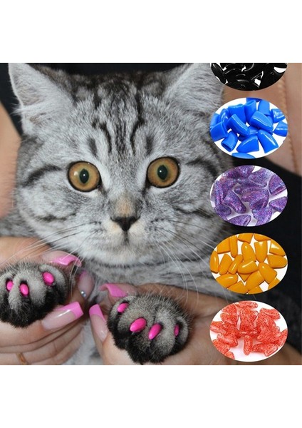 100PCS23CAT M 100 Adet Yeni Moda Renkli Kedi Tırnak Kapakları Kediler Için Yumuşak Pençe Yumuşak Paws Anti-Scratch Kedi Aksesuarları Ücretsiz Yapıştırıcı Tutkal (Yurt Dışından)