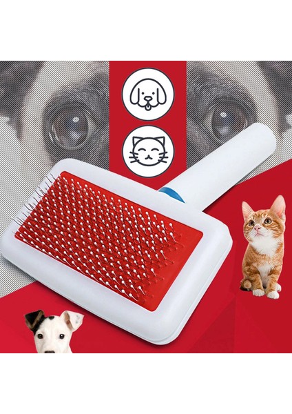 Çelik Iğne Tarak Pet Hava Yastığı Çelik Iğne Taraklar Kürk Temizleme Fırçası Yavru Küçük Köpek ve Kedi Epilasyon Masaj Tarak Evcil Hayvanlar Güzellik Bakım Aracı (Yurt Dışından) modelleri