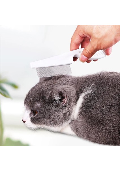 Pet Saç Tarak M Pet Saç Dökülme Tarak Paslanmaz Çelik Pire Tarak Kedi Köpek Için Pet Konfor Pire Saç Bakım Tarağı Köpek Kedi Kürk Temizleme Fırçası (Yurt Dışından) modelleri