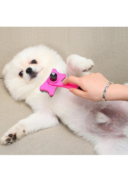 Mavi Resim Olarak Pet Köpek Kedi Fırçası Kediler Için Yavru Gatos Aksesuarları Küçük Köpekler Için Bakım Tarağı Mascotas Ürünleri Evcil Hayvanlar Malzemeleri Kedi Malzemeleri (Yurt Dışından)