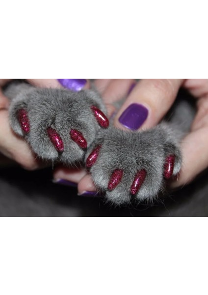 Glıtter Yeşil M Yeni Moda Renk Kedi Tırnak Kapakları Yumuşak Kedi Pençesi Yumuşak PAWS100PCS/LOT Yapışkanlı Tutkal ile Boyut Xs S M Lgift Evcil Hayvan Için (Yurt Dışından) modelleri