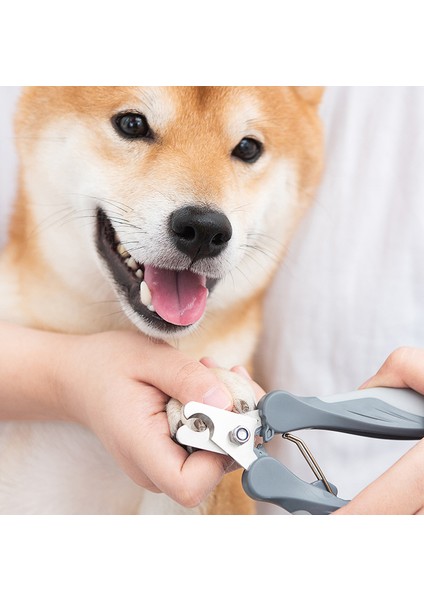 T9 Pembe S Profesyonel Evcil Hayvan Tırnak Makası Köpek Kedi Paslanmaz Tırnak Makası Emek Tasarrufu Tırnak Makası Pet Uygun Güzellik Temizlik Malzemeleri (Yurt Dışından) fiyatları