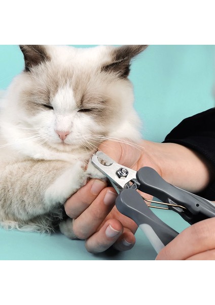 T9 Pembe S Profesyonel Evcil Hayvan Tırnak Makası Köpek Kedi Paslanmaz Tırnak Makası Emek Tasarrufu Tırnak Makası Pet Uygun Güzellik Temizlik Malzemeleri (Yurt Dışından) indirimleri