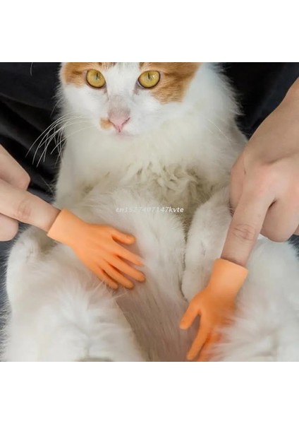Sol El Palm Şekilli Komik Mini Eller Yaratıcı Parmak Karyolası Pet Interaktif Oyuncak Küçük El Tease Yavru Kediler Masaj Eldiveni (Yurt Dışından)