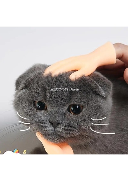 Sol El Palm Şekilli Komik Mini Eller Yaratıcı Parmak Karyolası Pet Interaktif Oyuncak Küçük El Tease Yavru Kediler Masaj Eldiveni (Yurt Dışından) fırsatları