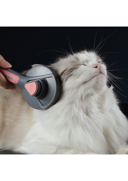 Yeşil Kedi Tarak Köpek Tarak Kedi Saç Tarak Pet Köpek Saç Özel Iğne Tarak Kedi Saç Temizleyici Temizlik ve Güzellik Ürünleri Temizlemesi Kolay (Yurt Dışından) indirimleri