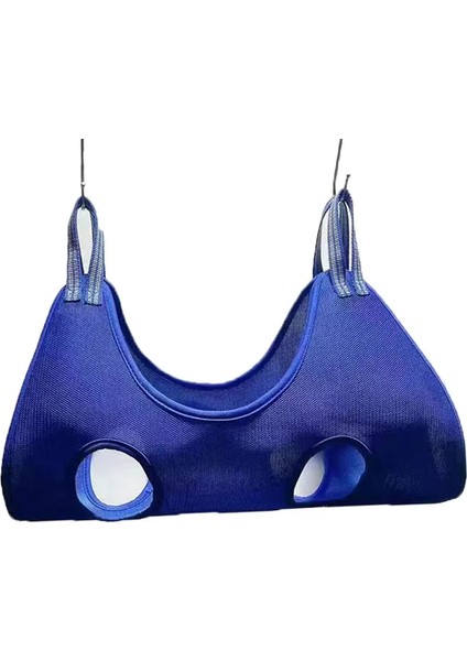 Mavi Set L Çivi Kesme Ve Saç Kurutma Için Evcil Hayvan Hamak Köpek Kedi Bakım Hamakları Kısıtlama Çantası Pet Shop Budama Seti Tarak Tırnak Makası (Yurt Dışından) indirimleri